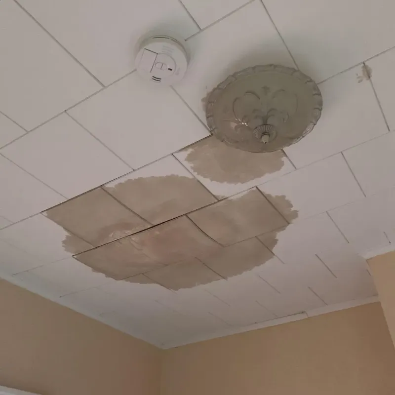 Ceiling Water Damage Repair in South Shore, IL