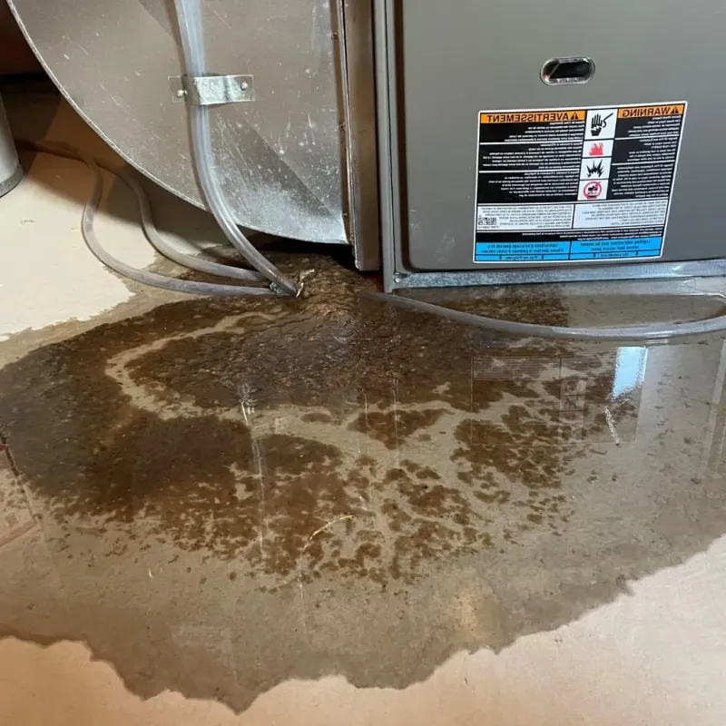 Pipe Burst and Leak Restoration in South Shore, IL