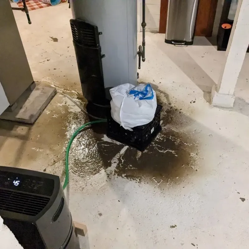 Sewage Backup Cleanup Service in South Shore, IL